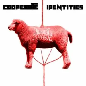 Cooperate Identities cover