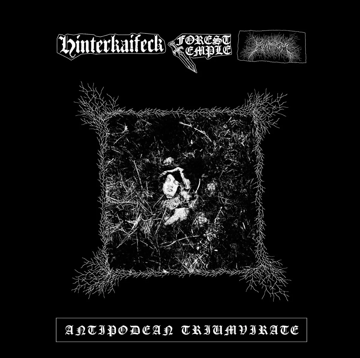 Antipodean Triumvirate cover