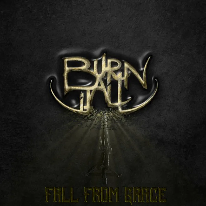 Fall from Grace cover