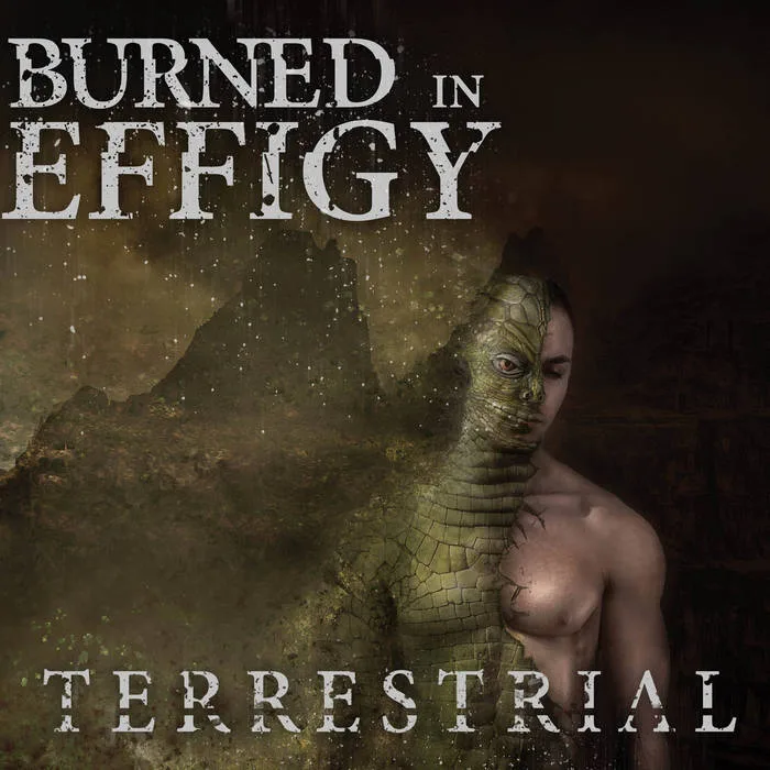 Terrestrial cover