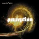 Perception cover