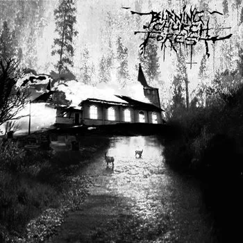 Fuck All the Creation! cover