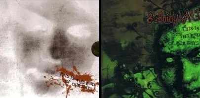 This Is the End of Our Days cover