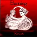 Burning Seas cover