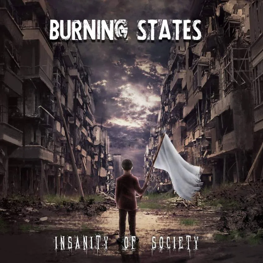 Insanity of Society cover