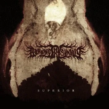 Superior cover