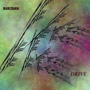 Drive cover