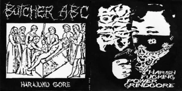 Harajuku Gore / Harsh Fucking Power Grindcore cover