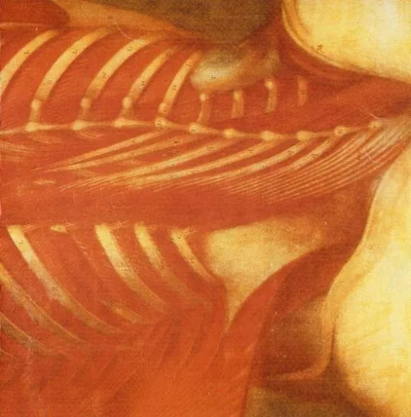 General Surgery / Butcher ABC cover