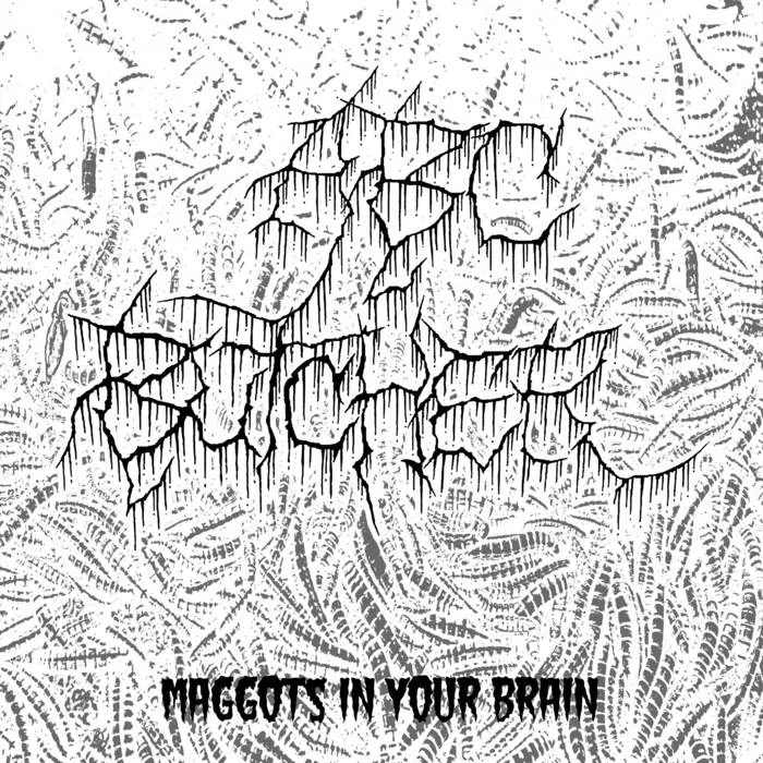 Maggots in Your Brain cover