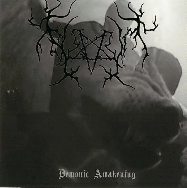 Demonic Awakening cover