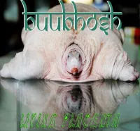 Living Placenta cover