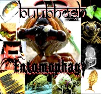 Entomophagy cover