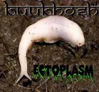 Ectoplasm cover