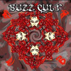 Buzz Cult cover
