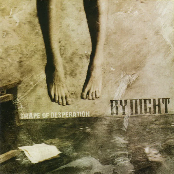 A New Shape of Desperation cover