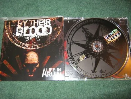 A Life in Ruin cover