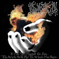 If You Set Yourself on Fire the World Will Pay to Watch You Burn cover