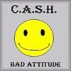 Bad Attitude 2 cover