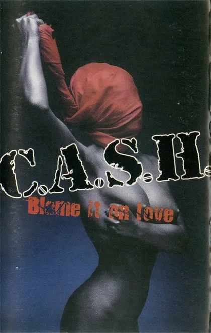 Blame It on Love cover