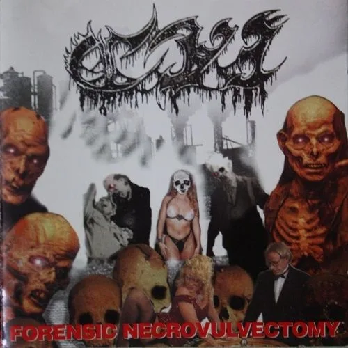 Forensic Necrovulvectomy cover