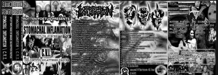 Cut in Pieces / Delightful Splattered Vagina cover