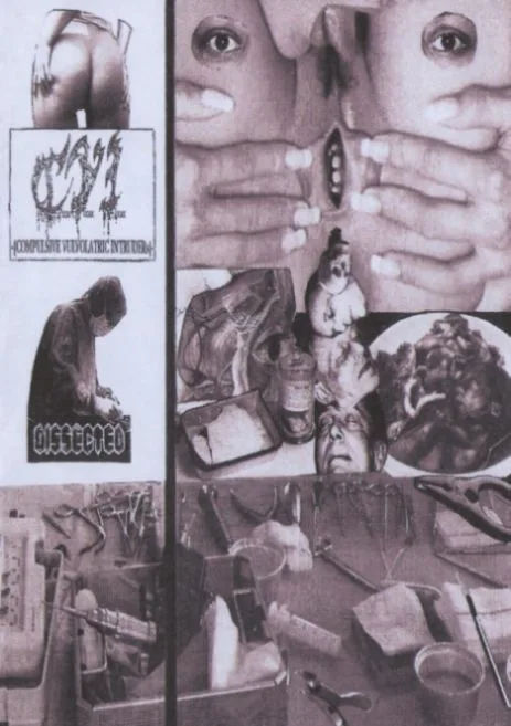 C.V.I. / Dissected cover