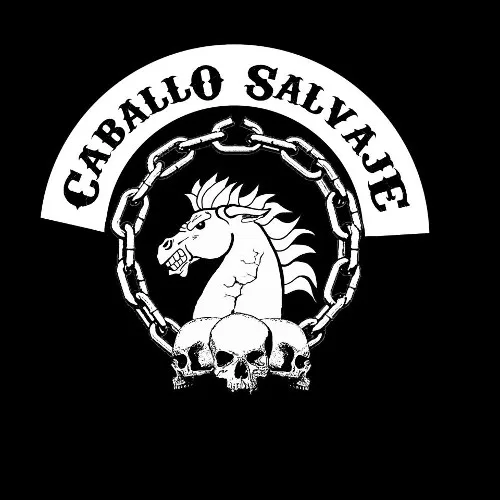 Caballo salvaje cover