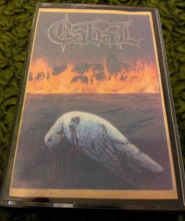 Mirror of Fantasies cover