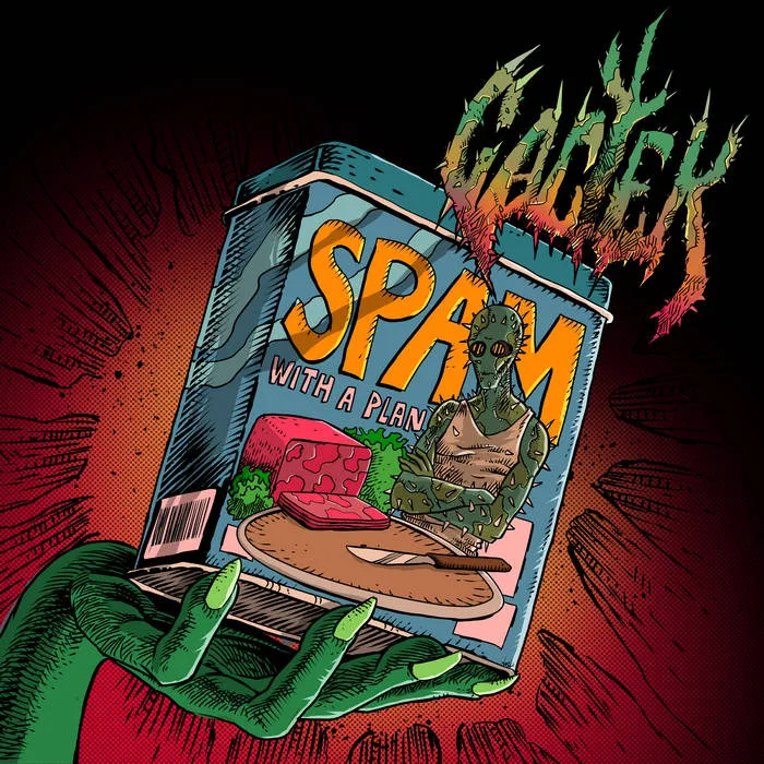 Spam with a Plan cover