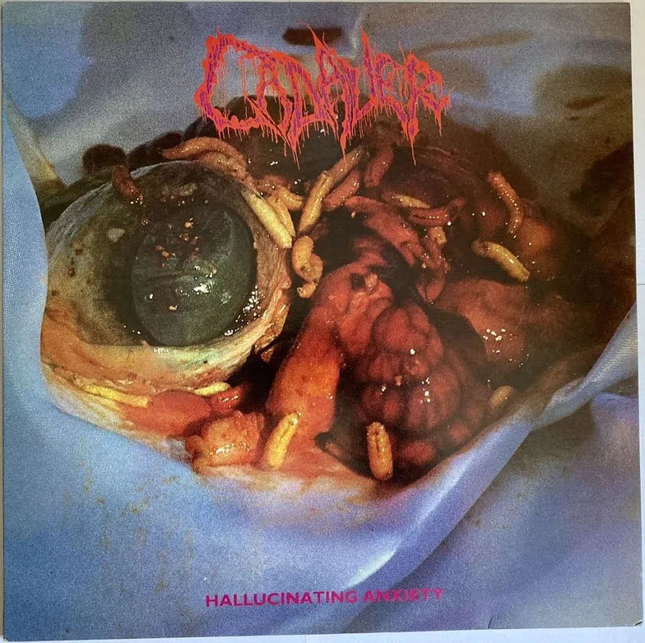 Hallucinating Anxiety cover