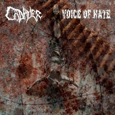 Cadaver / Voice of Hate cover