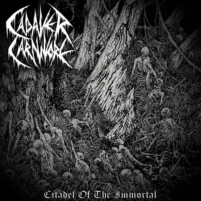 Citadel Of The Immortal cover