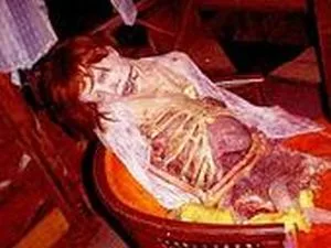 Devouring Extremities cover