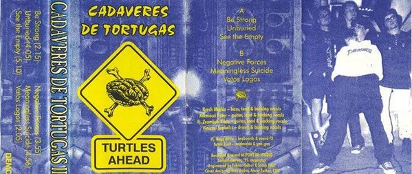 Turtles Ahead cover