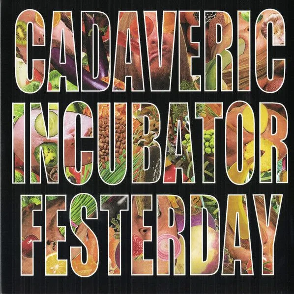 Cadaveric Incubator / Festerday cover