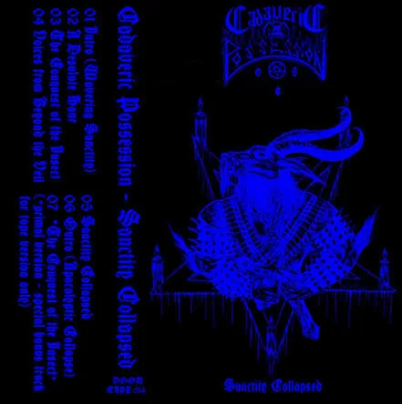 Sanctity Collapsed cover