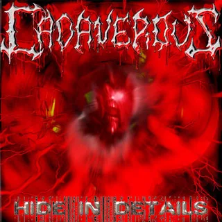 Hide in Details cover