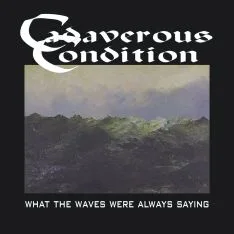 What the Waves Were Always Saying cover