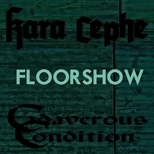 Floorshow cover