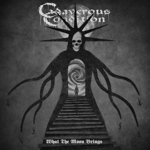 What the Moon Brings cover