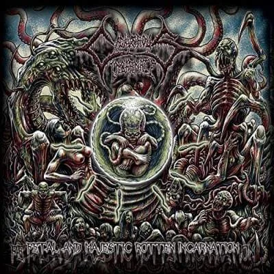 Fetal and Majestic Rotten Incarnation cover