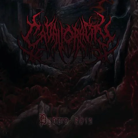 Promo 2014 cover