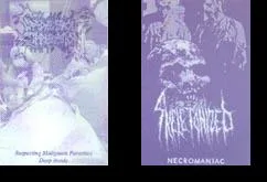 Necromaniac / Suspecting Malignant Parasites Deep Inside cover
