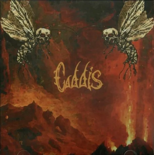 Caddis cover