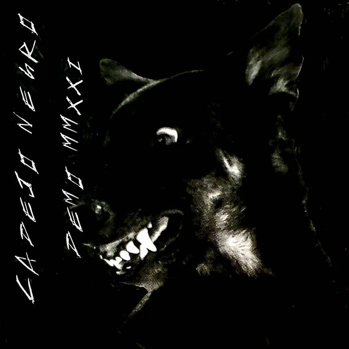 Demo MMXXI cover