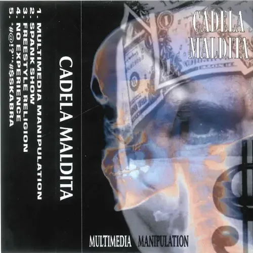 Multimedia Manipulation cover