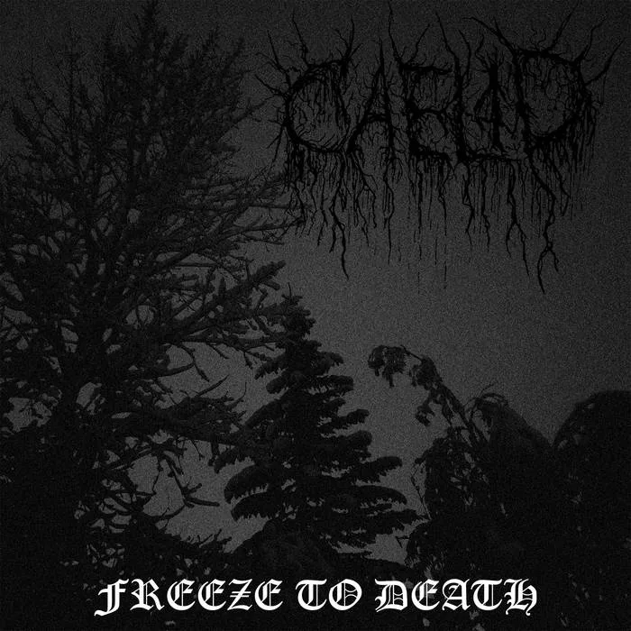 Freeze to Death cover