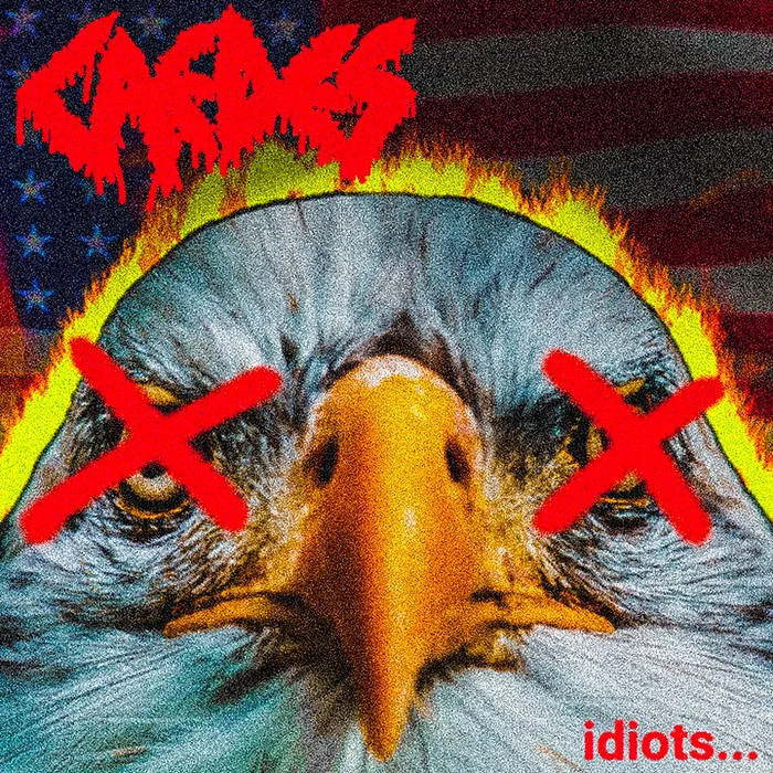 Idiots... cover
