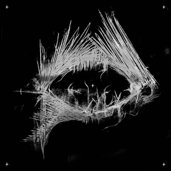 Solace in Virtue's Absence cover